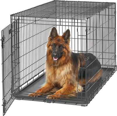 Show full view: MidWest LifeStages Single Door Collapsible Wire Dog Crate, 48 inch slide 1 of 12