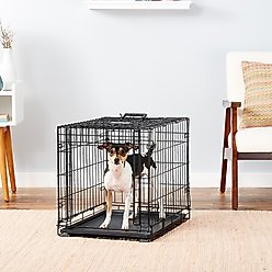 MidWest Ovation Single Door Collapsible Wire Dog Crate, 24-in