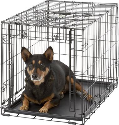 Show full view: MidWest Ovation Single Door Collapsible Wire Dog Crate, 30-in slide 4 of 11