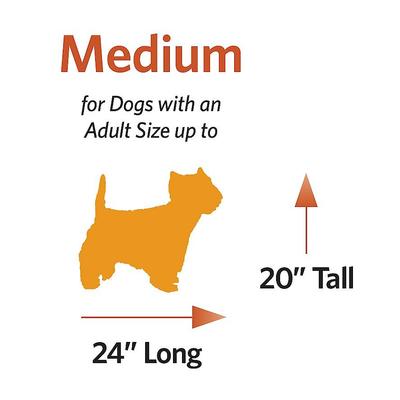 Show full view: MidWest Ovation Single Door Collapsible Wire Dog Crate, 30-in slide 7 of 11