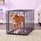 Show in main carousel: MidWest Ovation Single Door Collapsible Wire Dog Crate, 36-in slide 1 of 11