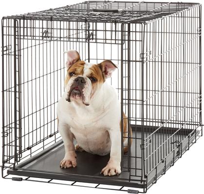 Show full view: MidWest Ovation Single Door Collapsible Wire Dog Crate, 36-in slide 4 of 11