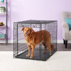 MidWest Ovation Single Door Collapsible Wire Dog Crate, 42-in