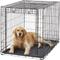 Show in main carousel: MidWest Ovation Single Door Collapsible Wire Dog Crate, 42-in slide 4 of 11