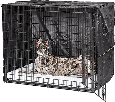 Xxl Dog Crate (Free Shipping) | Chewy