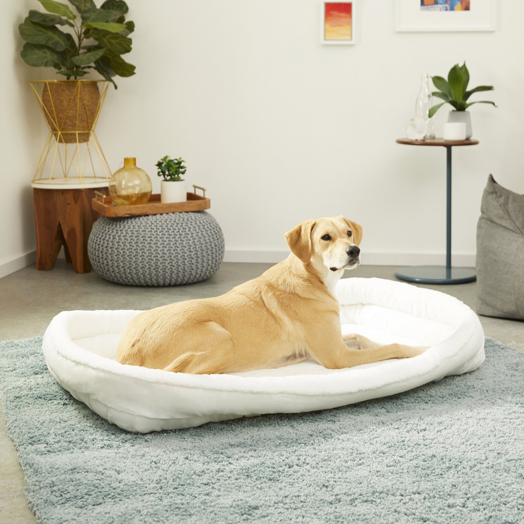 MidWest Quiet Time Deluxe Fleece Double Bolster Dog Crate Mat, 48-in