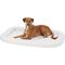 Show in main carousel: MidWest Quiet Time Deluxe Fleece Double Bolster Dog Crate Mat, 48-in slide 5 of 10