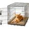 Show in main carousel: MidWest Quiet Time Deluxe Micro Terry Dog Crate Mat, 30-in slide 2 of 8