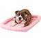 Show in main carousel: MidWest Quiet Time Fashion Plush Bolster Dog Crate Mat, Pink, 36-in slide 2 of 8