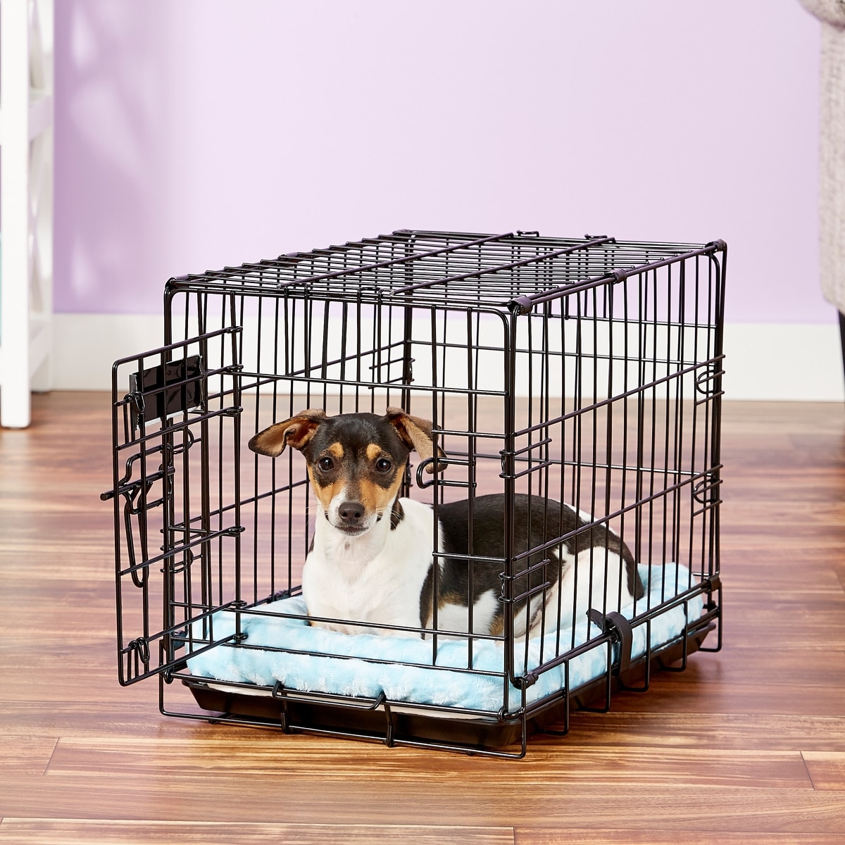 Curated visual reference: Fresh Look at Midwest Quiet Time Fashion Plush Bolster Dog Crate Mat Powder