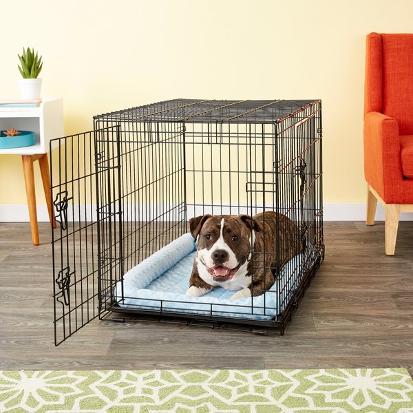 Show full view: MidWest Quiet Time Fashion Plush Bolster Dog Crate Mat, Powder Blue, 36-in slide 3 of 7