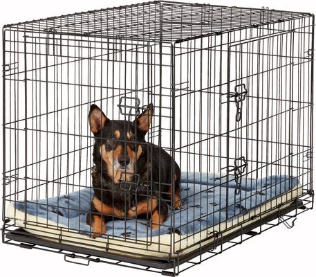 Show full view: MidWest Quiet Time Fleece Reversible Dog Crate Mat, Blue Paw Print, 36-in slide 2 of 8