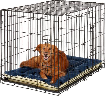 Show full view: MidWest Quiet Time Fleece Reversible Dog Crate Mat, Blue Paw Print, 42-in slide 2 of 8