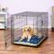 Show in main carousel: MidWest Quiet Time Fleece Reversible Dog Crate Mat, Blue Paw Print, 42-in slide 3 of 8