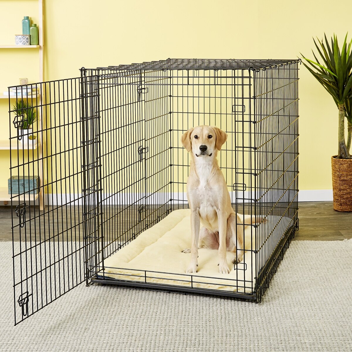 A closer look at Quiet Time Dog Crates