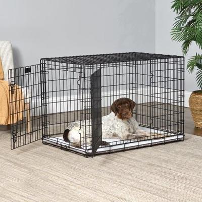 Show full view: MidWest Quiet Time Reversible Crate Pan Cover Dog & Cat Crate, Mushroom, Large  slide 6 of 10