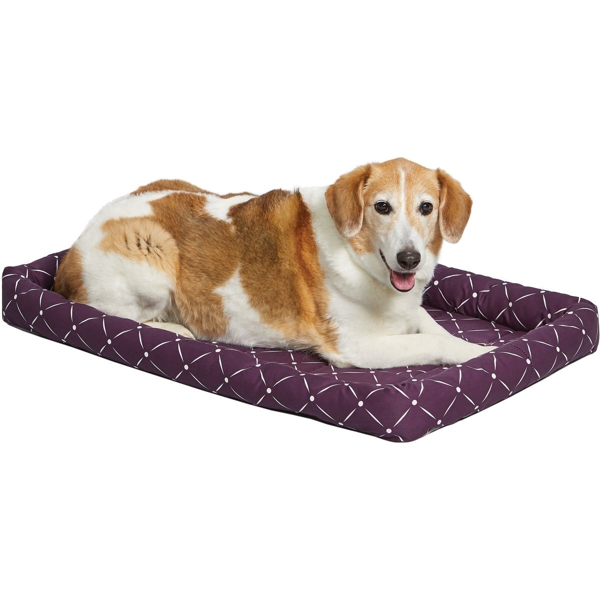 MidWest QuietTime Couture Ashton Bolster Dog Crate Mat, Plum, Intermediate