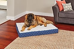 MidWest QuietTime Couture Donovan Orthopedic Pillow Dog Bed with Removable Cover, Blue/White, Giant slide 2 of 5