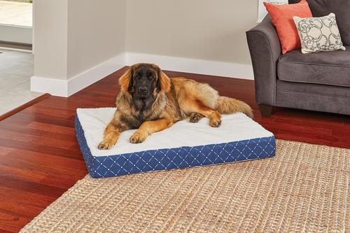 Show full view: MidWest QuietTime Couture Donovan Orthopedic Pillow Dog Bed with Removable Cover, Blue/White, Giant slide 3 of 8