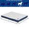 Show in main carousel: MidWest QuietTime Couture Donovan Orthopedic Pillow Dog Bed with Removable Cover, Blue/White, Large slide 3 of 7