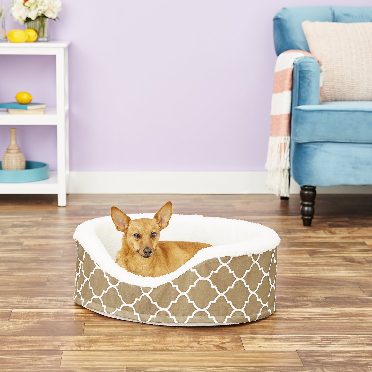 MidWest Quiet Time E' Sensuals Brown Teflon Orthopedic Pet Bed, 25"