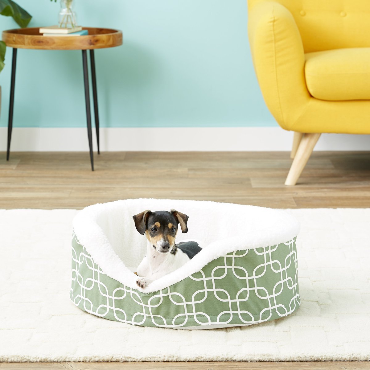 MidWest Quiet Time E' Sensuals Green Teflon Orthopedic Pet Bed, 25"