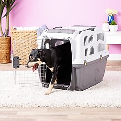 MidWest Skudo Deluxe Plastic Dog & Cat Kennel, 32-in