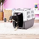 MidWest Skudo Deluxe Plastic Dog & Cat Kennel, 32-in