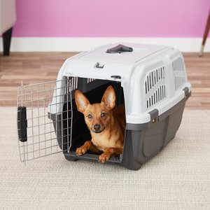 MidWest Skudo Standard Plastic Dog & Cat Kennel, 19-in