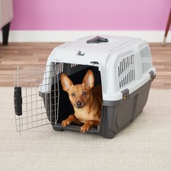 MidWest Skudo Standard Plastic Dog & Cat Kennel, 24-in