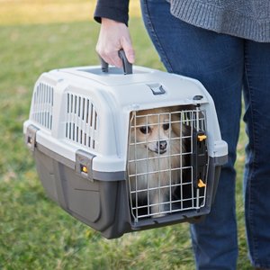 MidWest Skudo Standard Plastic Dog & Cat Kennel, 24-in
