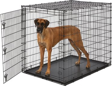 Xxl Dog Crate (Free Shipping) | Chewy
