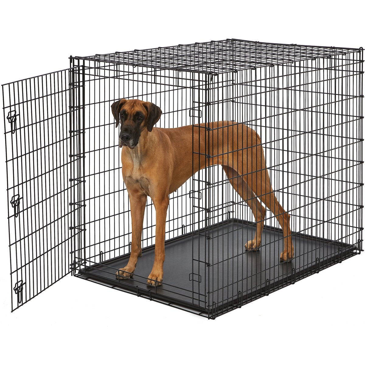MidWest Solution Series XX-Large Heavy Duty Single Door Wire Dog Crate, 54-in L x 37-in W x 45-in H