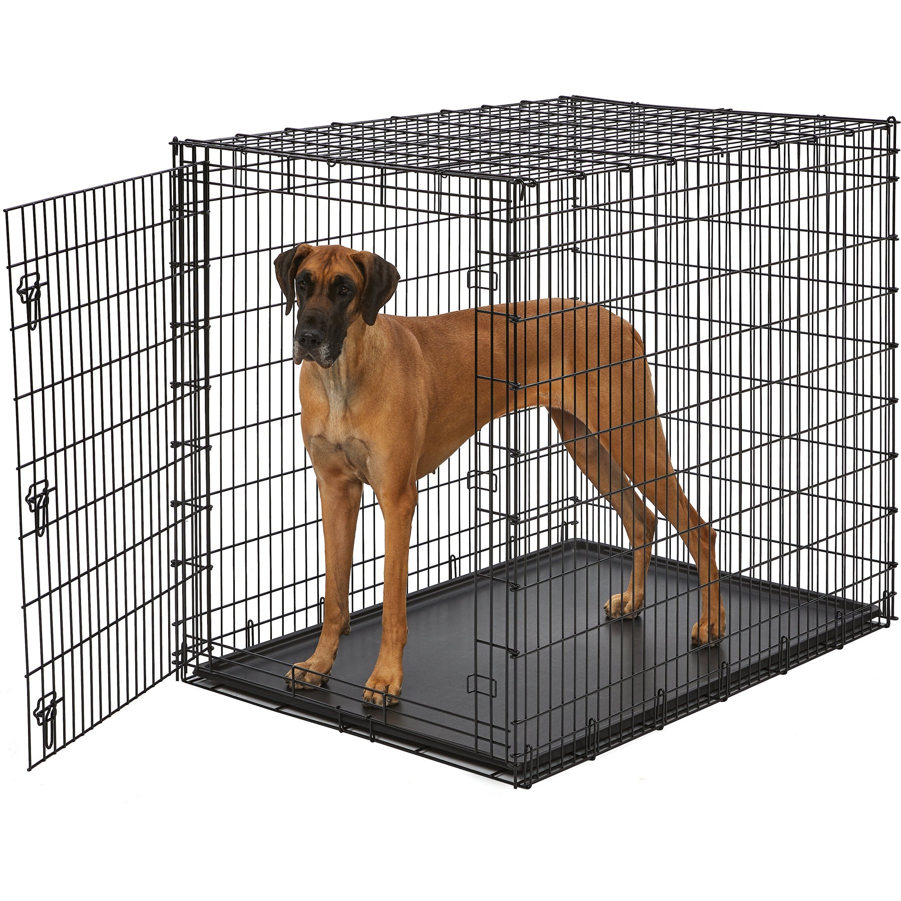 POINT-H – THE H.W.DOG&CO.