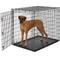 Show in main carousel: MidWest Solution Series XX-Large Heavy Duty Single Door Wire Dog Crate, 54-in L x 37-in W x 45-in H slide 1 of 6