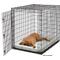 Show in main carousel: MidWest Solution Series XX-Large Heavy Duty Single Door Wire Dog Crate, 54-in L x 37-in W x 45-in H slide 4 of 6
