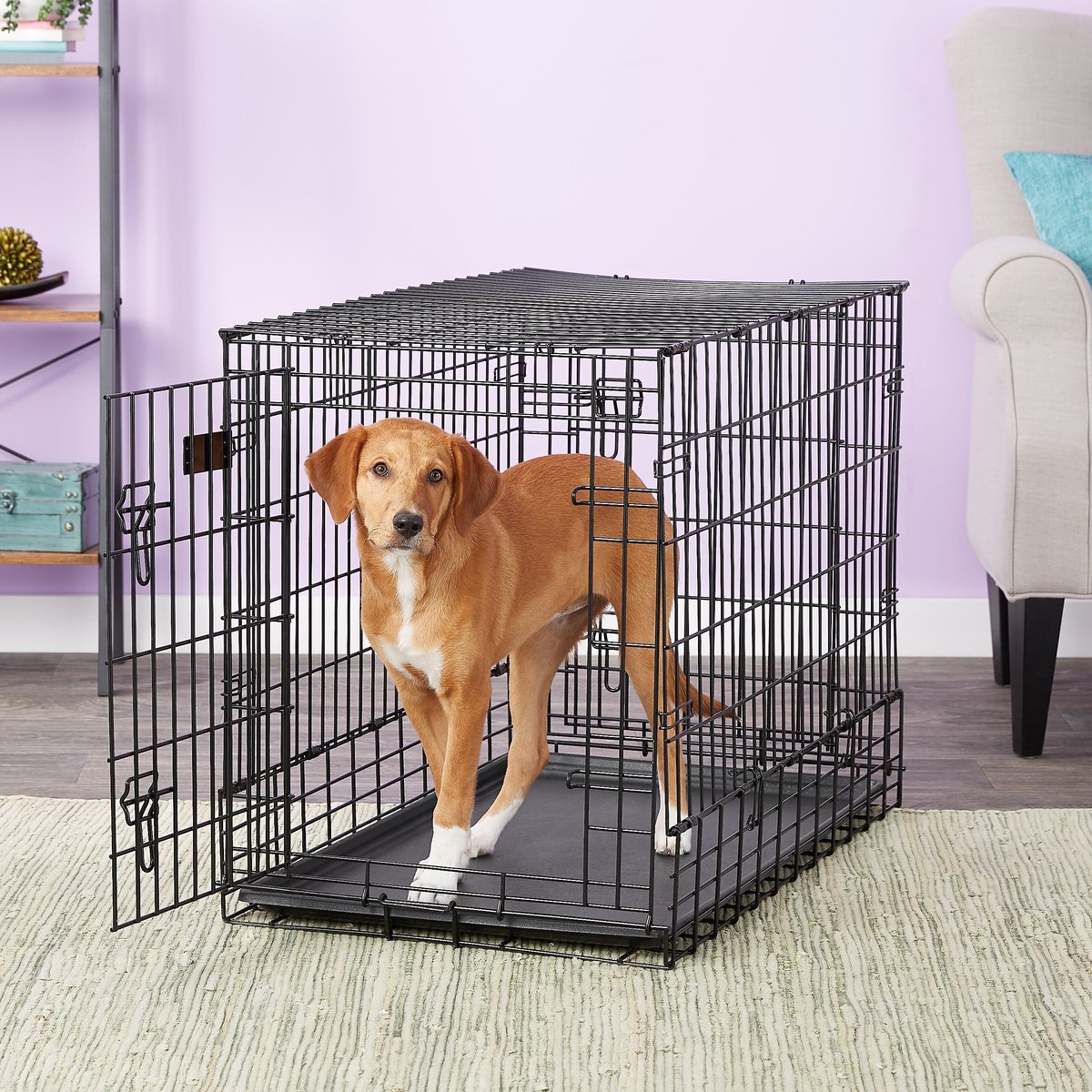 MidWest Side by Side Double Door SUV Dog Crate, 41 to 70-lbs