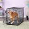 Show in main carousel: MidWest Solutions Series Side by Side Double Door Collapsible SUV Dog Crate, 36 inch slide 1 of 9