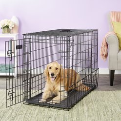 MidWest Solutions Series Side by Side Double Door Collapsible SUV Dog Crate, 42 inch