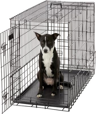 Show full view: MidWest Solutions Series Side by Side Double Door Collapsible SUV Dog Crate, 42 inch slide 4 of 9