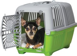 MidWest Spree Hard-Sided Dog & Cat Kennel, Green, 19-in