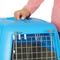 Show in main carousel: MidWest Spree Plastic Dog & Cat Kennel, 24-in, Blue slide 3 of 8