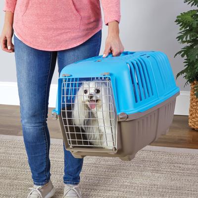 Show full view: MidWest Spree Plastic Dog & Cat Kennel, 24-in, Blue slide 4 of 8