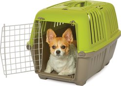MidWest Spree Plastic Dog & Cat Kennel, 24-in, Green