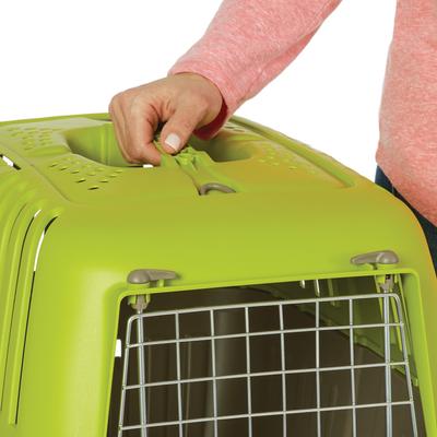 Show full view: MidWest Spree Plastic Dog & Cat Kennel, 24-in, Green slide 3 of 8