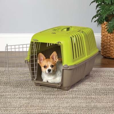 Show full view: MidWest Spree Plastic Dog & Cat Kennel, 24-in, Green slide 5 of 8