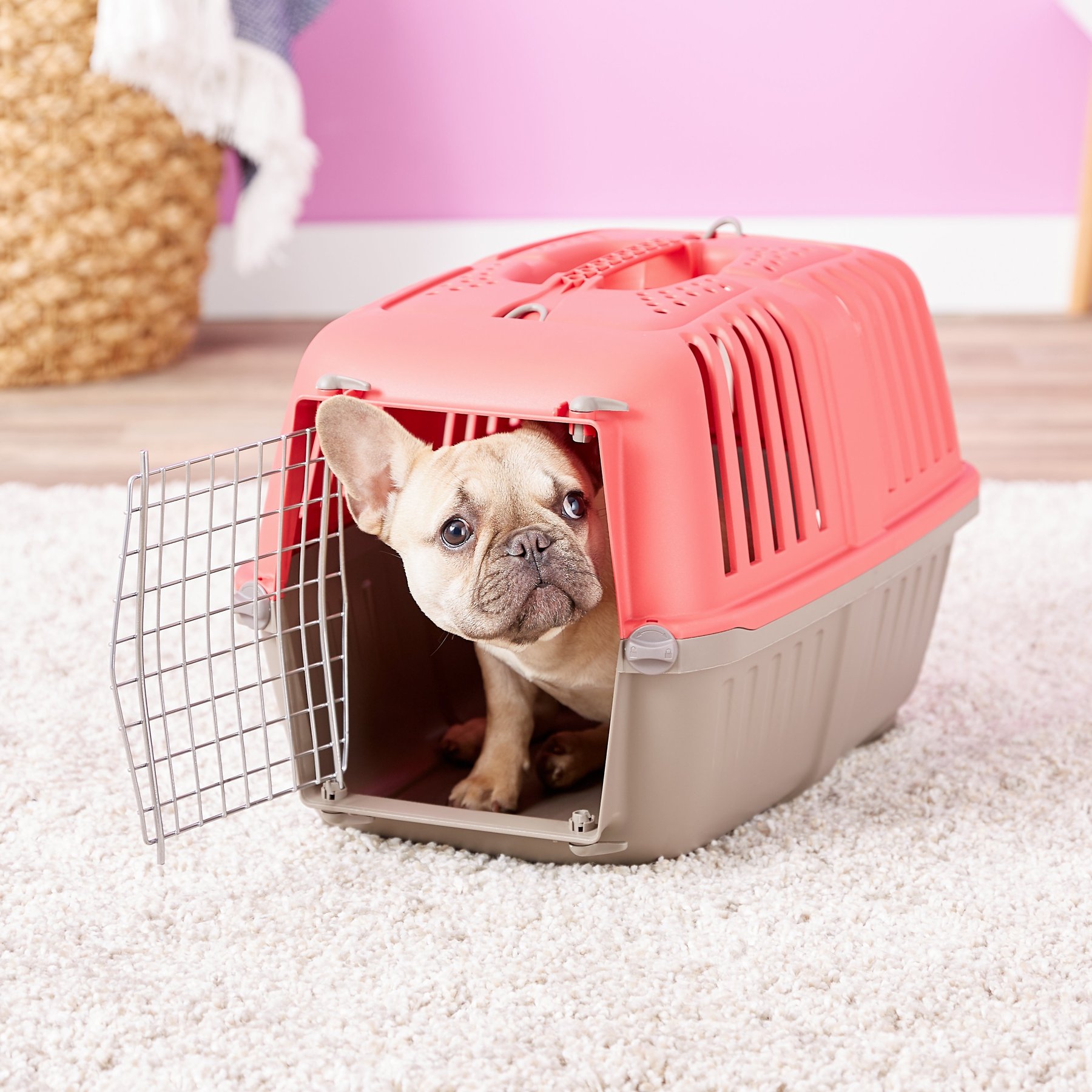 Spree Plastic Dog & Cat Kennel, Red, 22-in, Midwest
