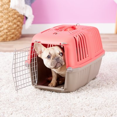 MidWest Spree Plastic Dog & Cat Kennel, Red, 22-in, Midwest