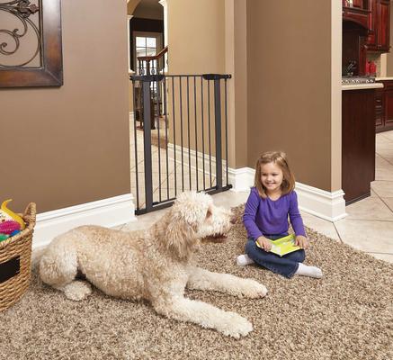 Show full view: MidWest Steel Pet Gate, 39-in, 2 count, Graphite slide 3 of 7