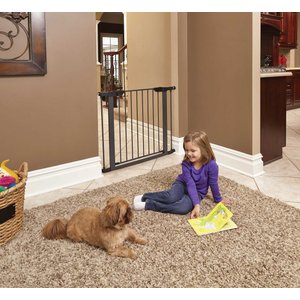 MidWest Steel Pet Gate, Graphite, 29-in